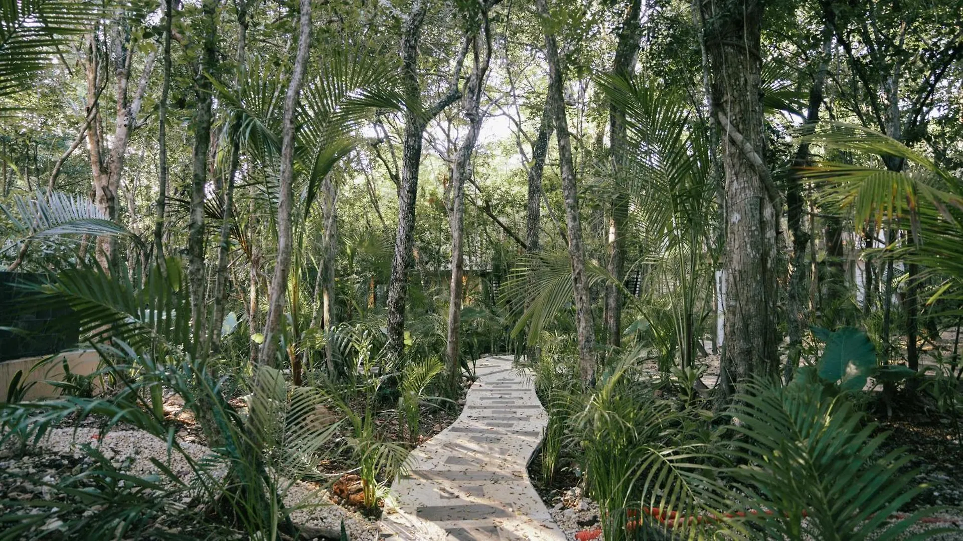 Tulum Jungle Villa Tierra Chemuyil
